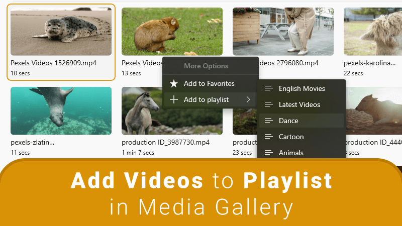 add videos to playlist in media gallery